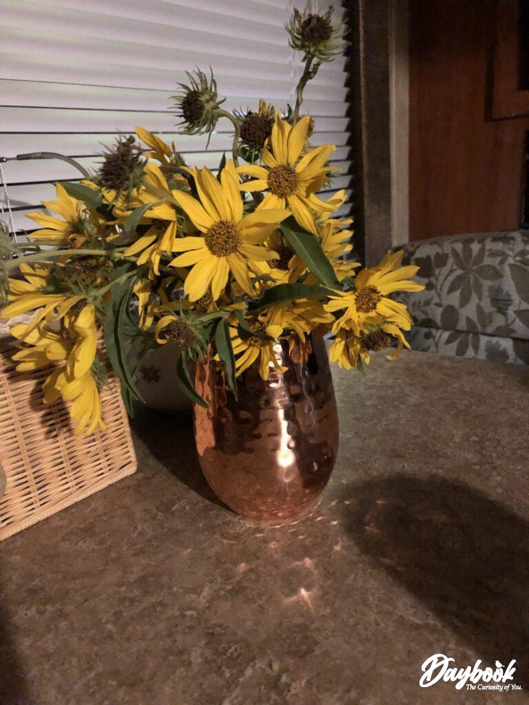 Texas sunflowers...beautiful and inspiring