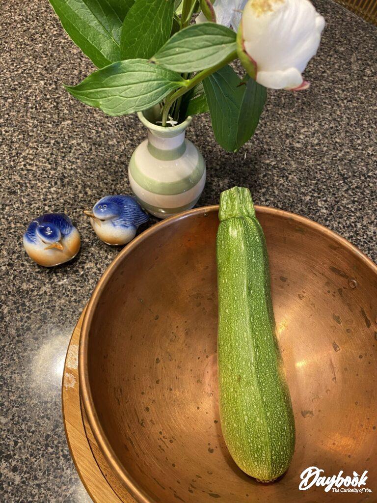 one zucchini in a copper bowl