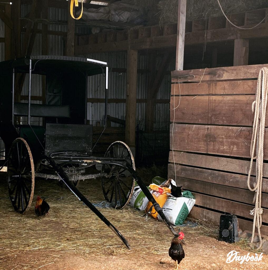 Amish buggy in a barn
