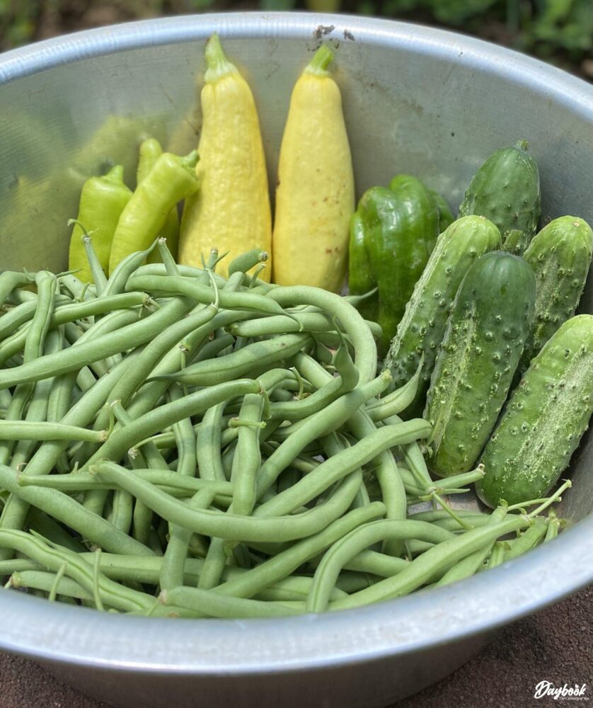 green beans squash and cucumbers in a bowl