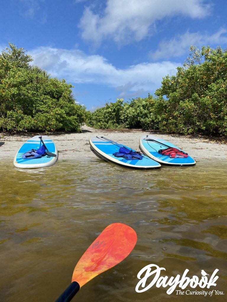 kayaks on the sand by the water