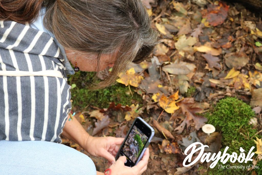 lady taking a picture of a mushroom