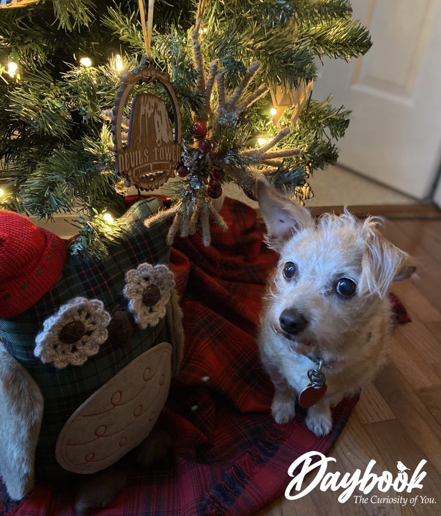 Sugar dog sitting under the Christmas tree always stirs the soul