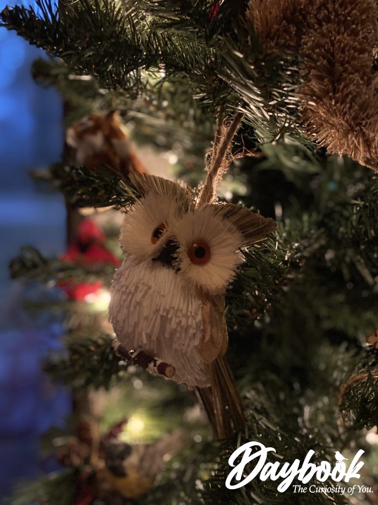 Owl ornament from a student stirs the soul