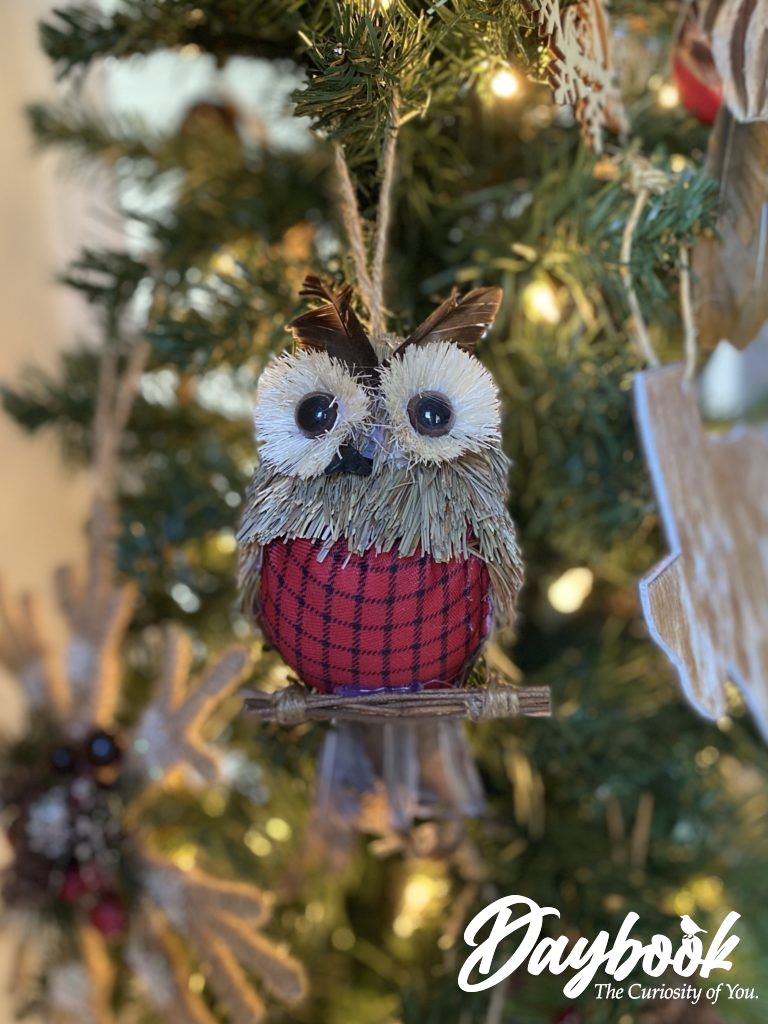 Owl ornament from a student stirs the soul