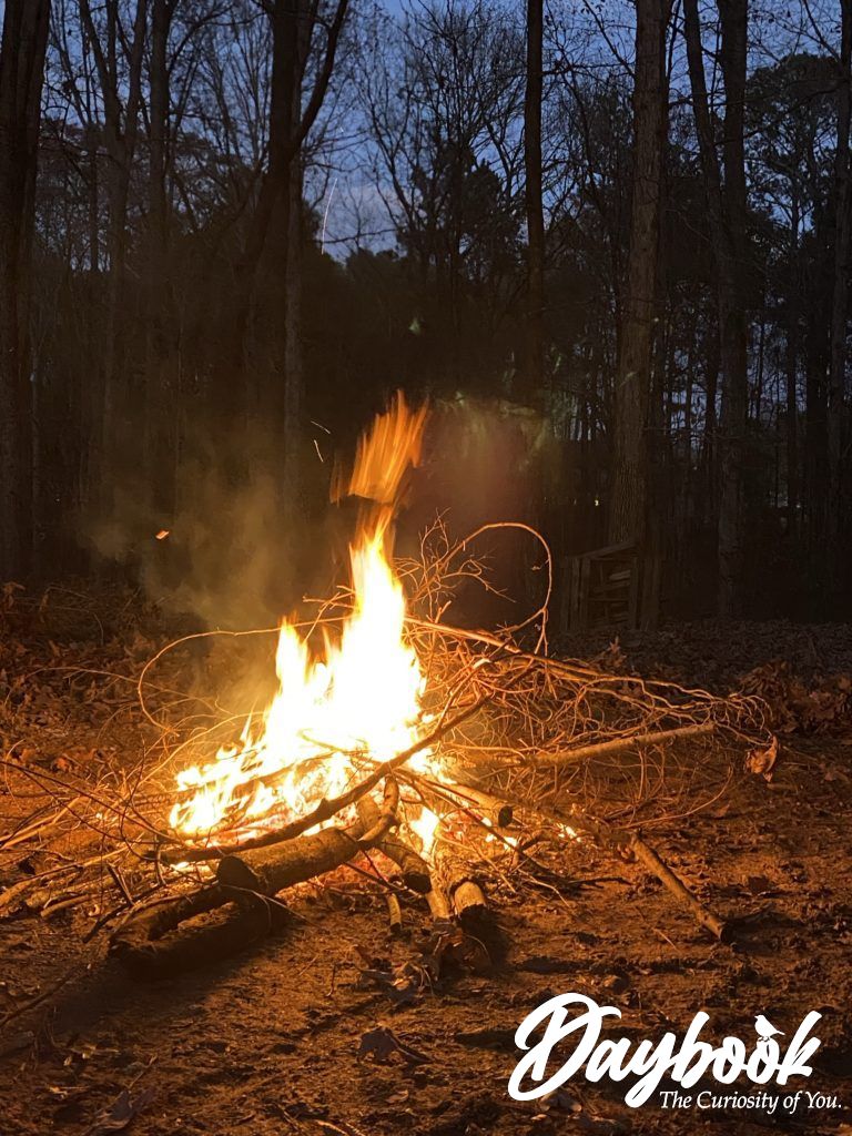 bonfire on a winter night