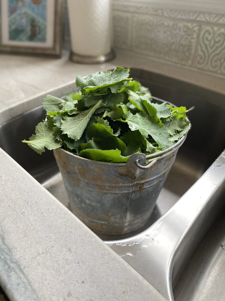 A silver bucket full of collard greens sitting in a stainless steel sink