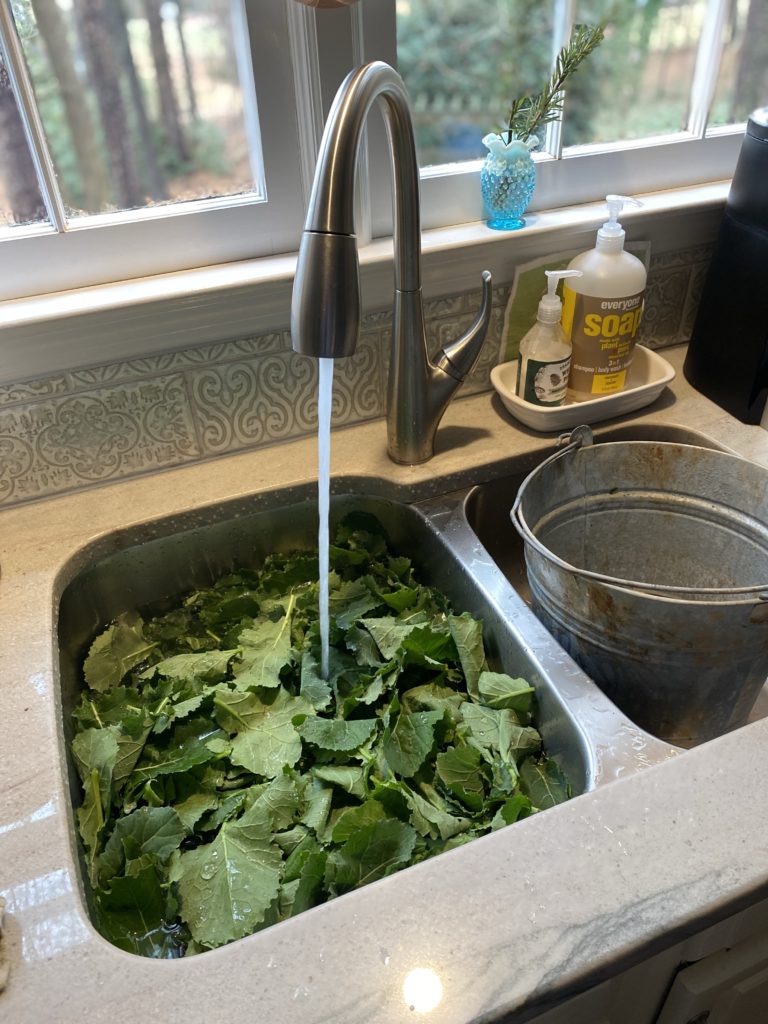 A sink full of collards with cold water running over them