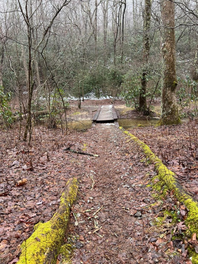 A bridge along a hiking trail in North Georgia.