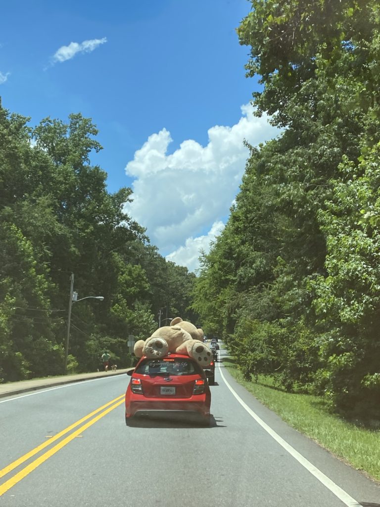 A small red car going down the road with a huge teddy bear strapped to the roof.