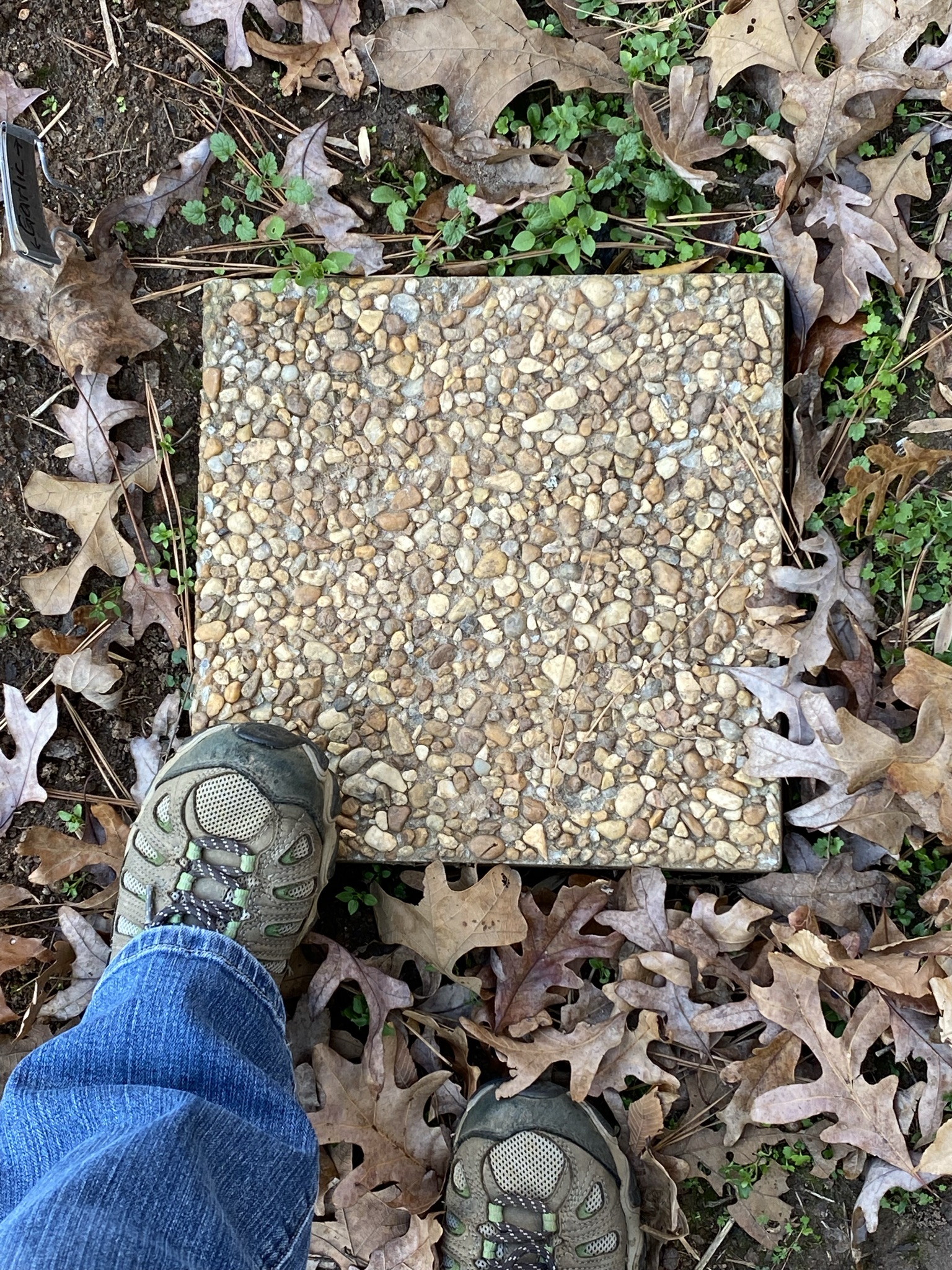 Feet stepping on a pebbled stepping stone in a garden.