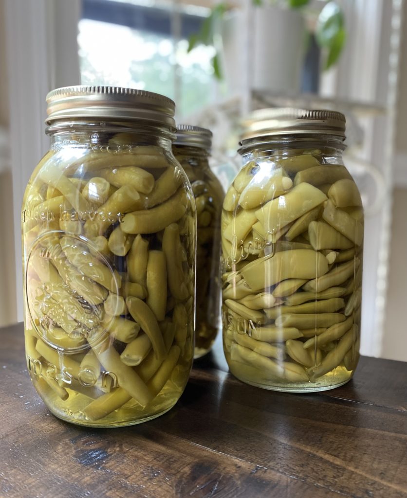 Three glass Mason jars full of green beans that have been pressure canned.