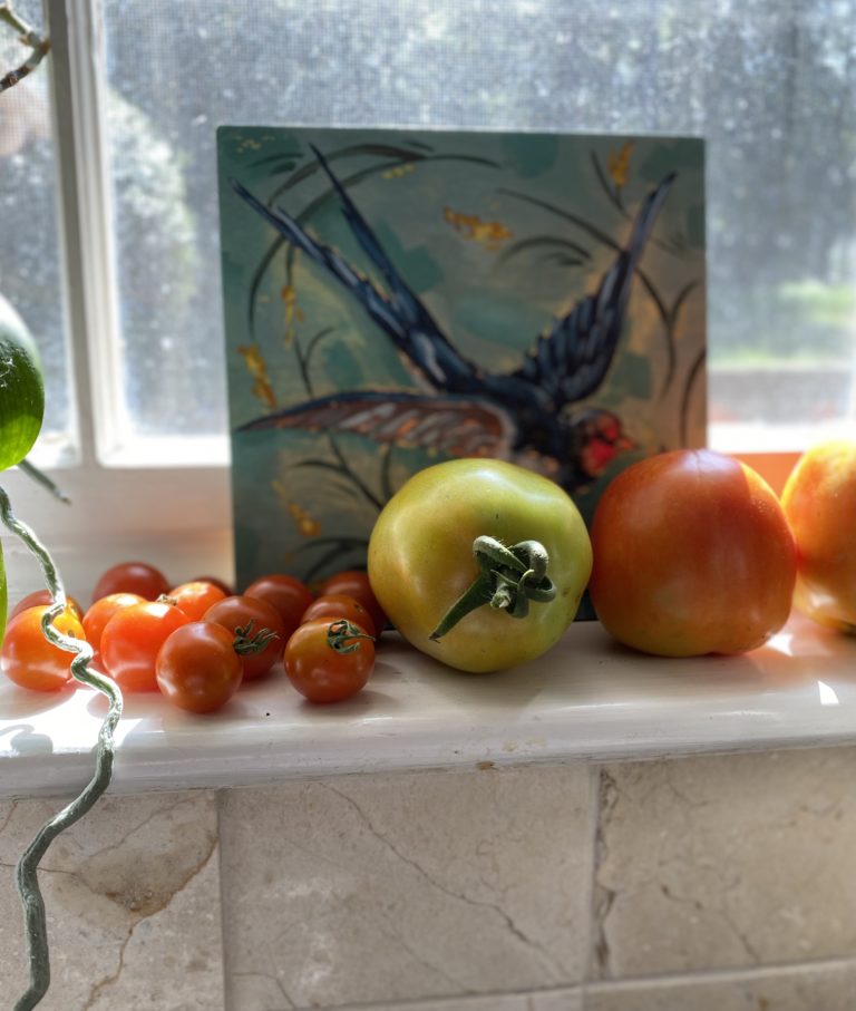 Tomatoes ripening in a sunny kitchen window.