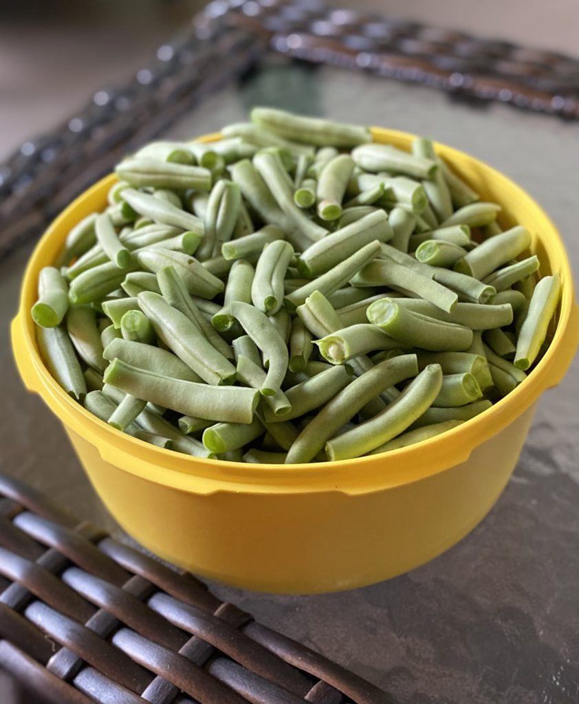A yellow Tuperware bowl full of freshly snapped green beans.