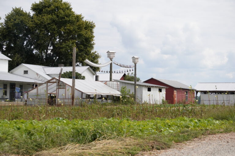 White Amish houses with one red barn and a string of gourds stretched across the sky.