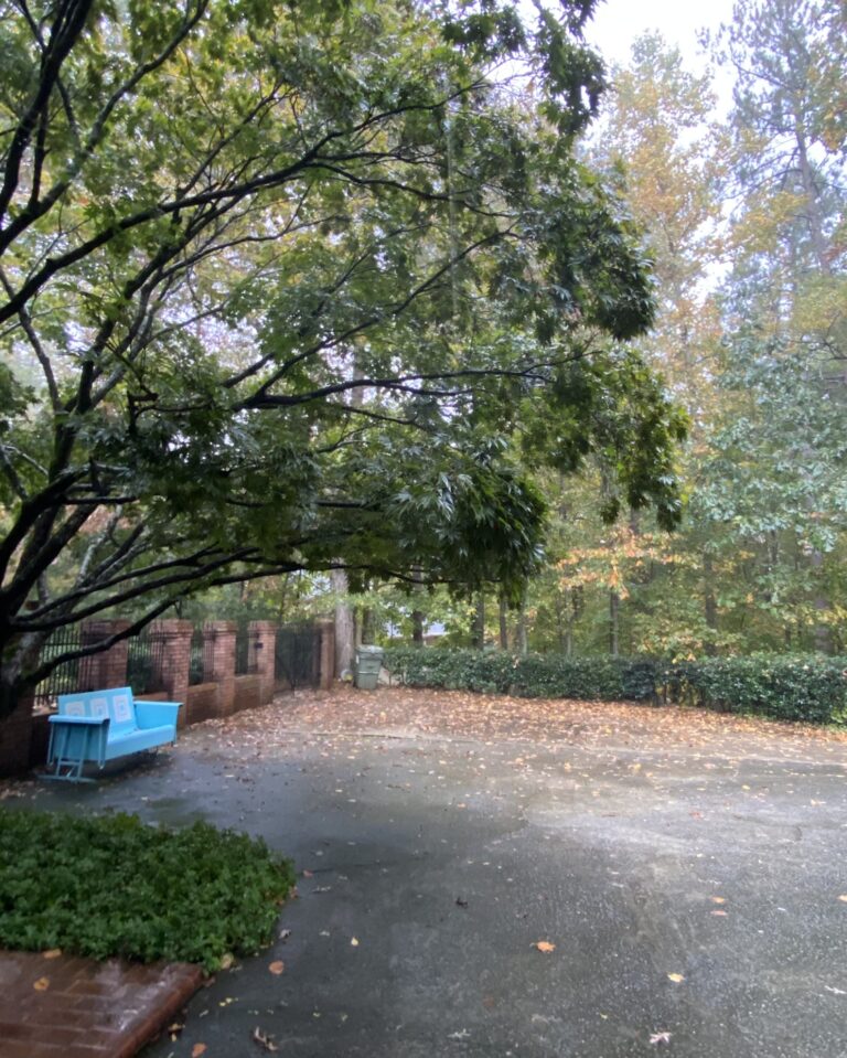 A driveway view during a light rain.