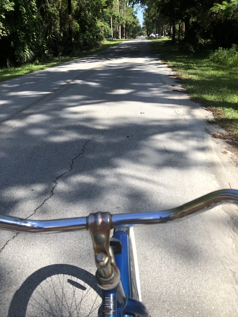 Looking over the handlebars of a bike while riding down a tree lined street in Florida