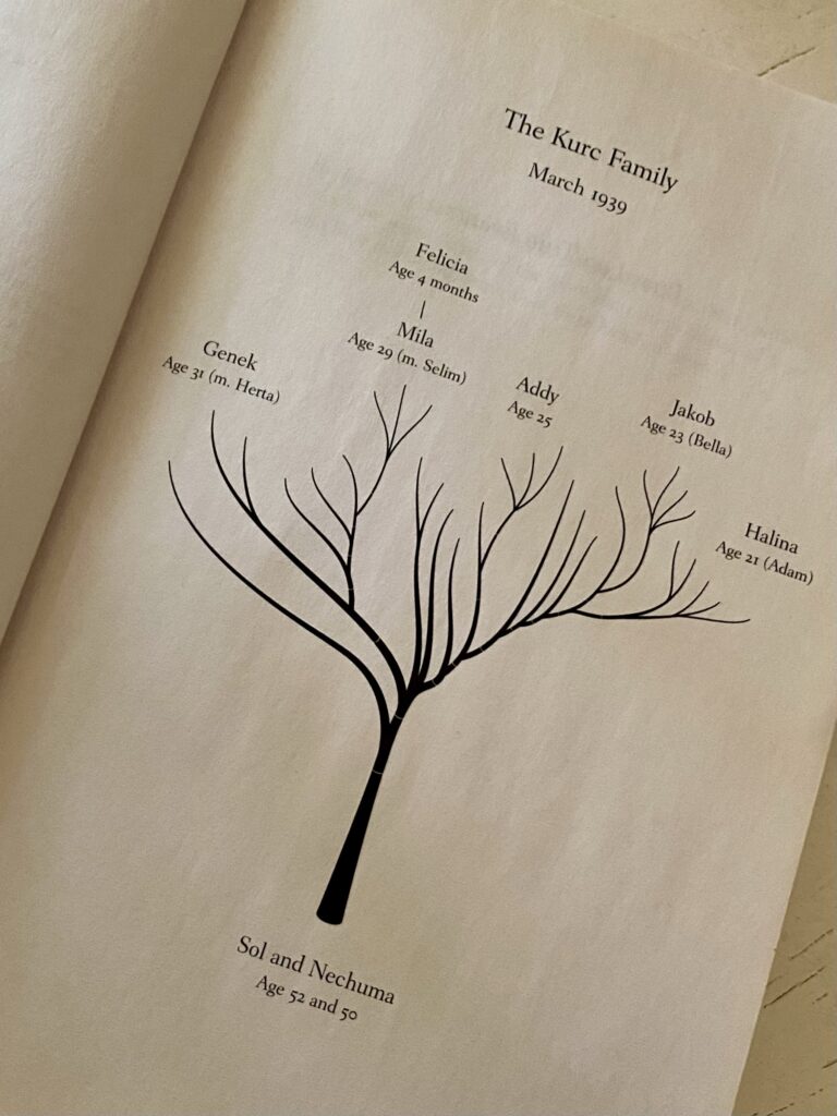 A family tree illustration inside the front cover of the novel We Were The Lucky Ones.