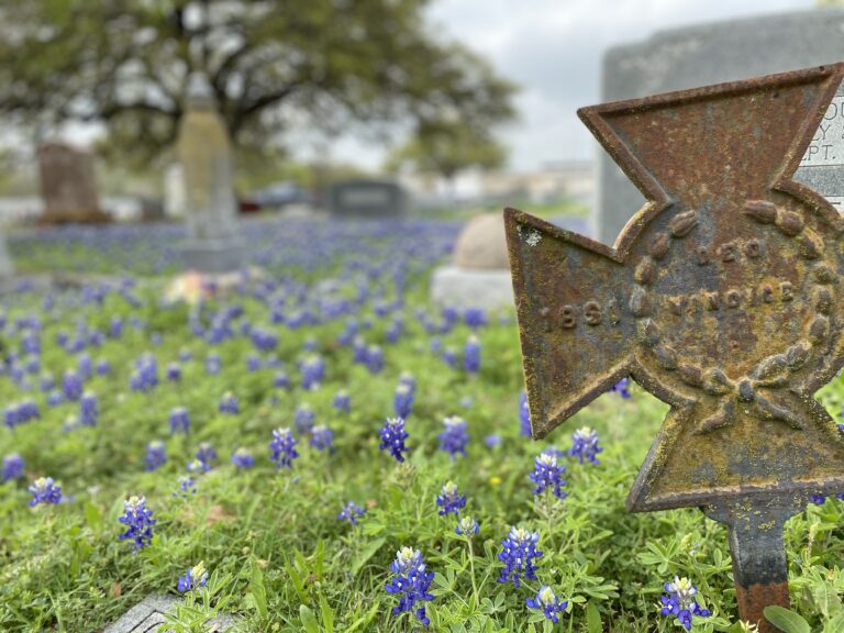 A metal ornamentation on a post in a field of blue bonnets in Texas.