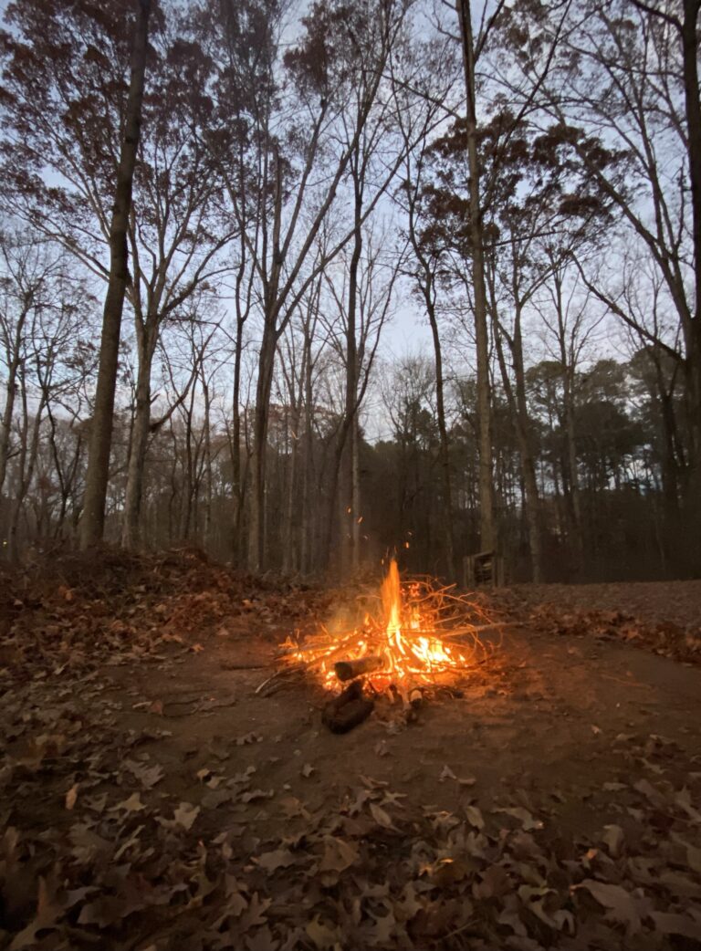 A small fire in the woods at sunset