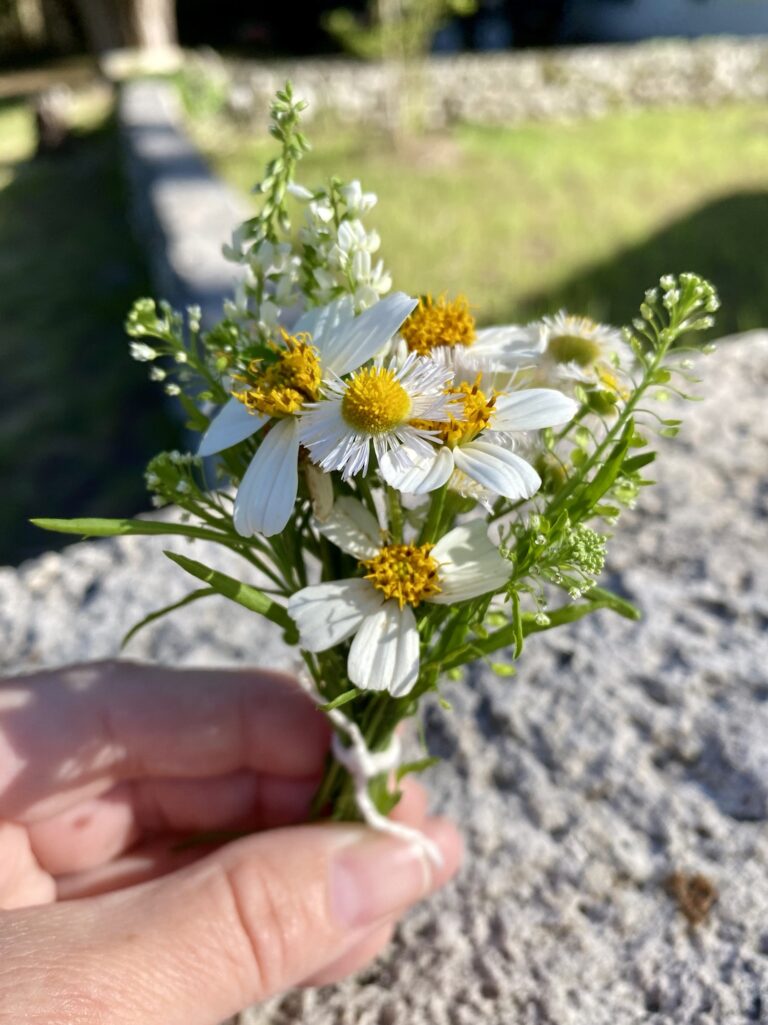 A bundle of wildflowers tied in a tiny bouquet held by a lady outside in Florida.